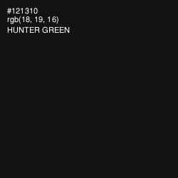 #121310 - Hunter Green Color Image